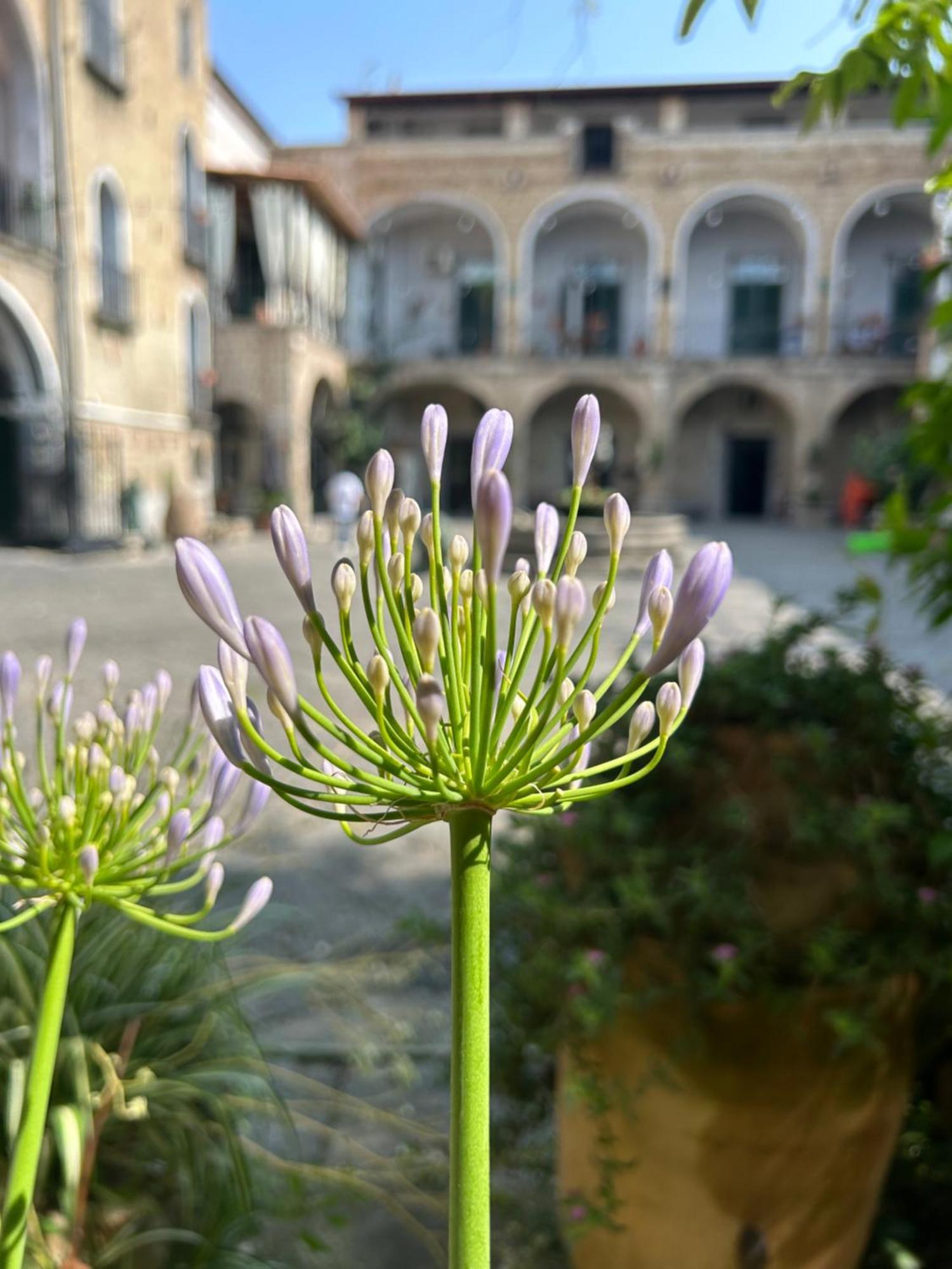 Palazzo Capece Apartment Caivano Exterior photo